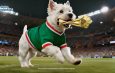Conecta la pasión futbolera con el bienestar de las mascotas.